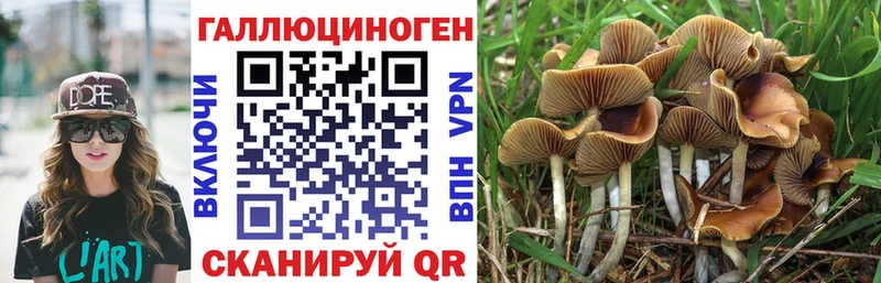 Псилоцибиновые грибы прущие грибы  дарк нет состав  Свирск 